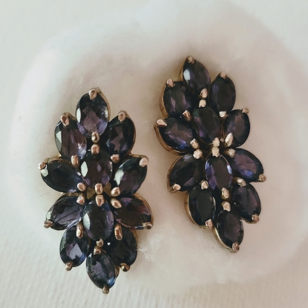 Vintage style Studded Earrings Purple Blue